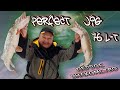 Много щуки на спиннинг|Большое знакомство с Perfect Jig 76 L-T