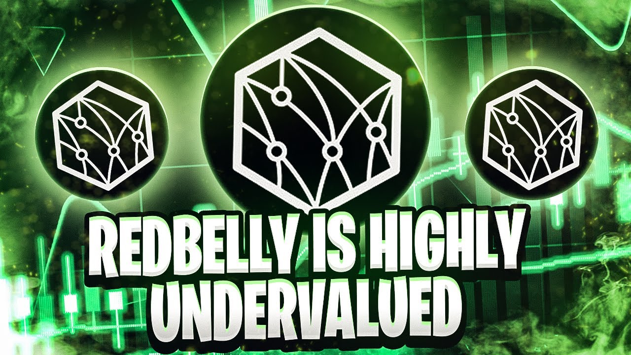 Is REDBELLY The Most Undervalued Altcoin? - YouTube