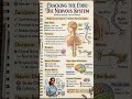 The Nervous System for easy understanding education #nursesnotes #bscnursing #viral #ai #nursestudy