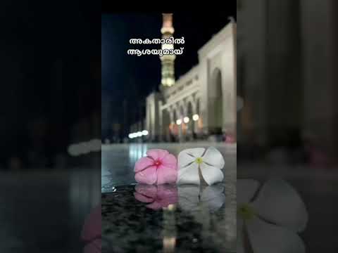 angakale thwaybayile song|abdulla fadhil moodal songs 😍new madh songs #songs #statusvideo #status