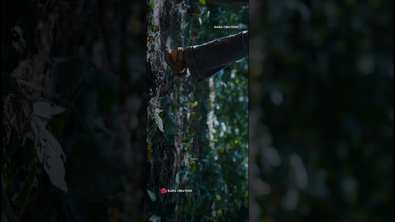 Prelude Of Pushparaj 