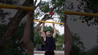 Level 1 to 100 Pullups 😨