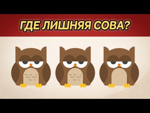 Пройди тест на зрение и внимательность! Найди лишнее на картинке
