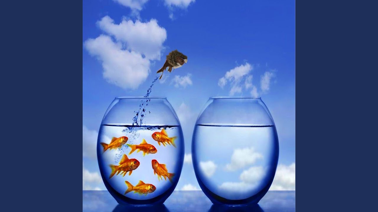 Watch We so Liquid on YouTube Watch We so Liquid on YouTube