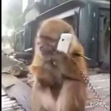 Ada  ada aja monyet  nelpon sembarangan 😂😂😂😂😂😂😂😂😂😂😂