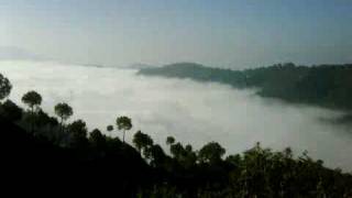 VID 00002 20091002 0800