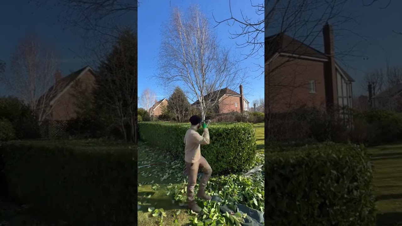 Sharp Garden Lawn Edges and Clean Borders with Smooth Finish 🌿 | 