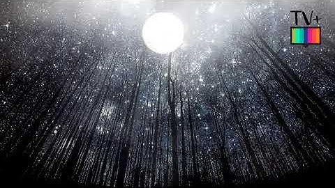 { وَمَنْ يَتَّقِ اللَّهَ يَجْعَلْ لَهُ مَخْرَجًا } | تلاوة هادئة 🎧💙