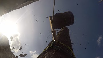 Tree Removal inc. negative rigging