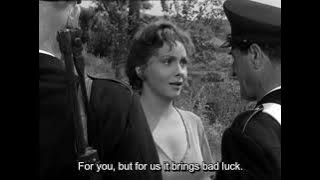 Pane, amore e fantasia 1953