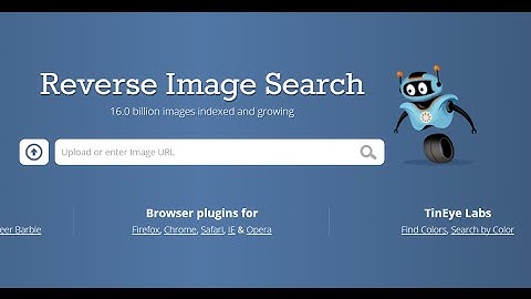 TinEye Best Reverse Image Search Engine