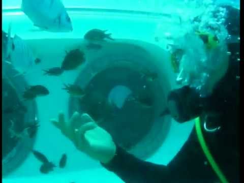 Video: Ghidul dvs. pentru o excursie pe coasta Atlanticului