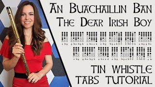 An Buachaillin Ban - The Dear Irish Boy | Low Whistle & Tin Whistle Tabs Tutorial
