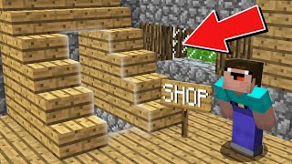 Minecraft NOOB vs PRO: NOOB FOUND SECRET ENTER TO SHOP UNDER STEPS Challenge 100% trolling