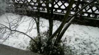 2008 12 10 Nevada.AVI