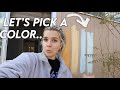 Deciding on the color of the house!