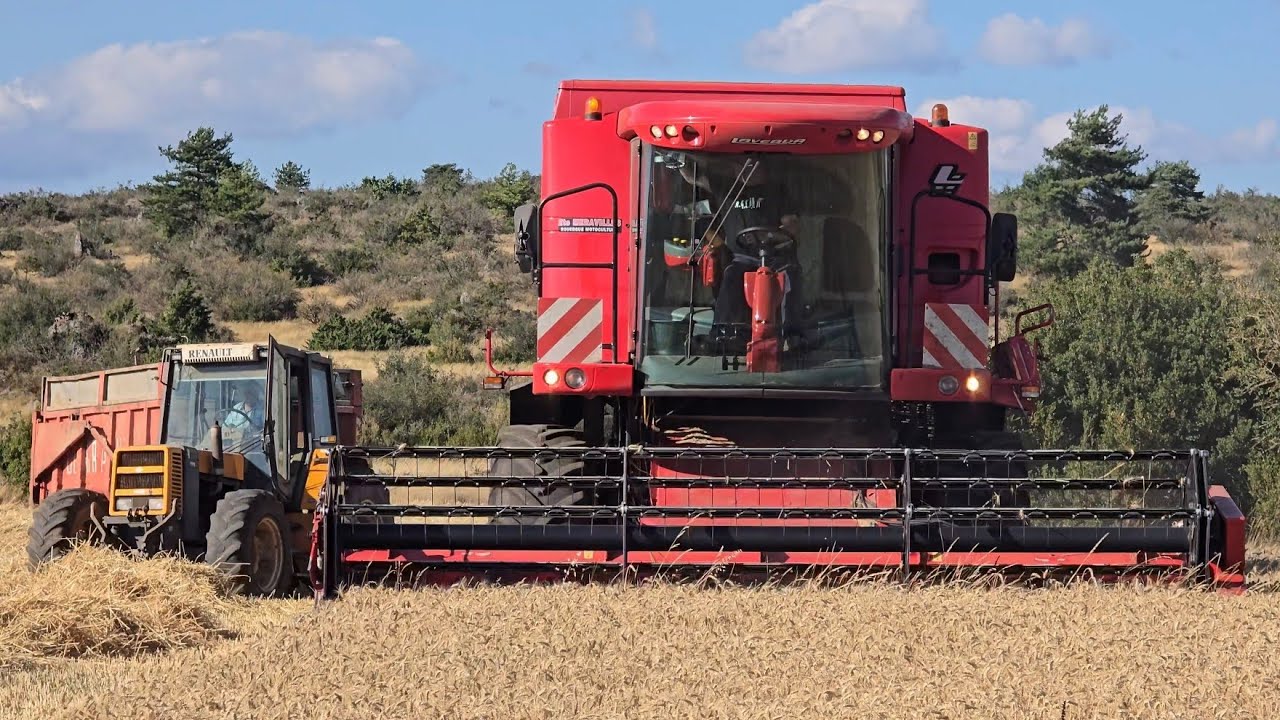 MOISSON 2025 🌾 Laverda M304ls  Renault 133-14