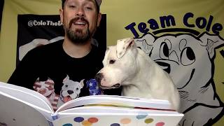 Bedtime Stories with Cole: The Remember Balloons