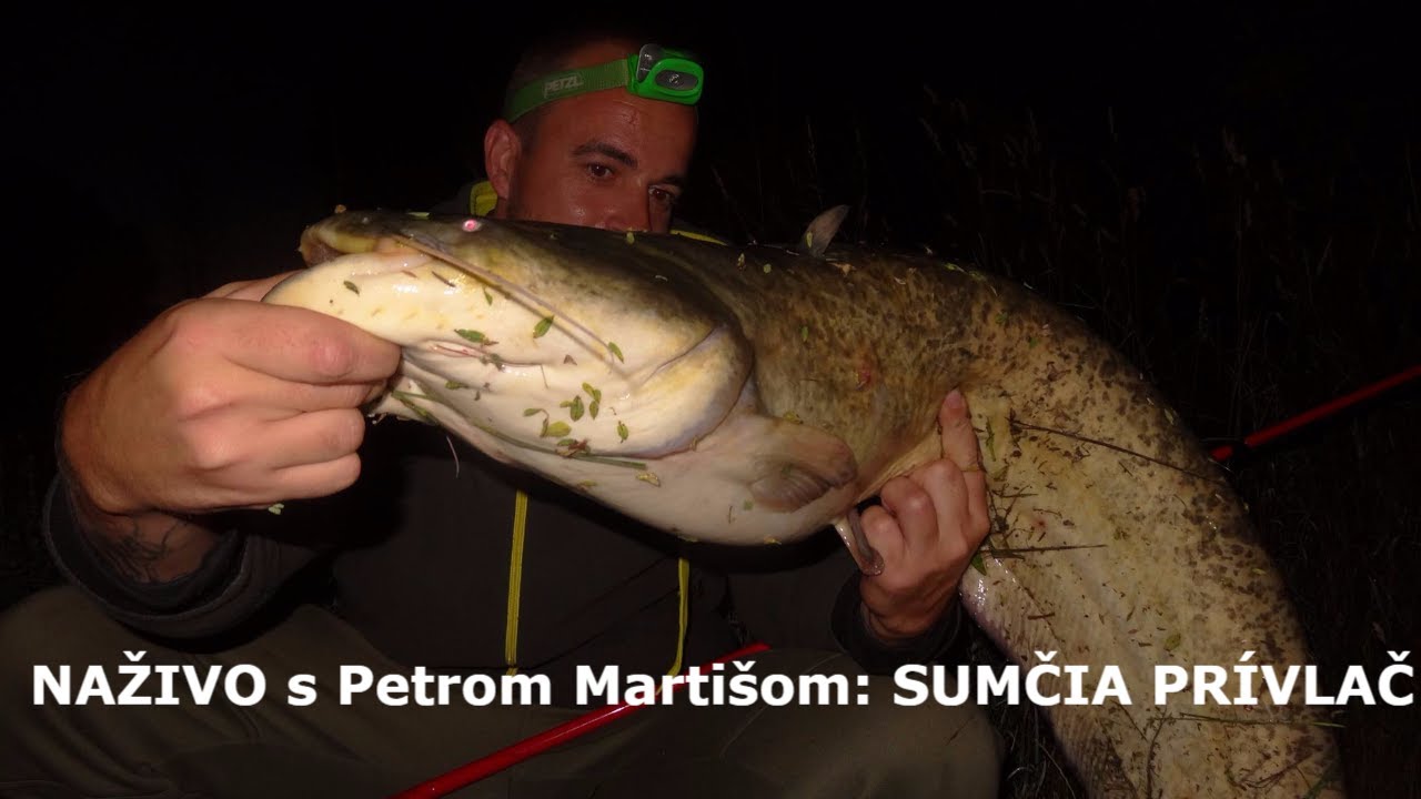 Téma: Sumčia prívlač s Petrom Martišom a Andrejom Birom