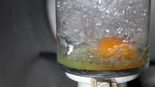 Egg in a Vacuum Chamber