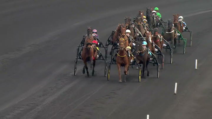 PRIX DE BELGIQUE - AMERIQUE RACES QUALIF 6 - LA COURSE