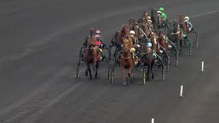 Vidéo de la course PMU PRIX DE BELGIQUE-AMERIQUE RACES Q6