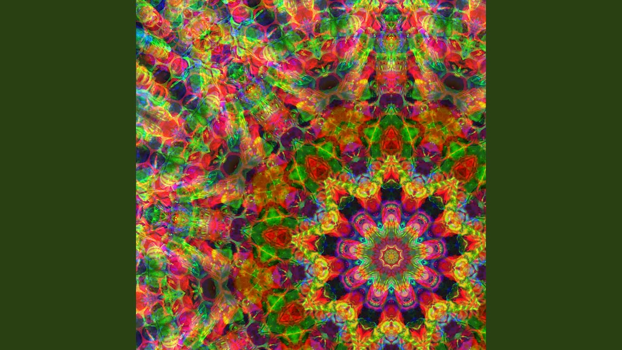 (Meditation for) The Hive Mind