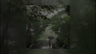 Daylight - David Kushner (slowed & reverb rain)