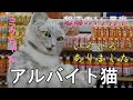 怒濤の1ヶ月半~イベント編~