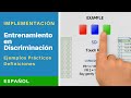 Entrenamiento en Discriminación / Discrimination Training - Español (Practical)