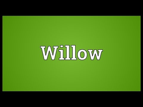 Willow Meaning