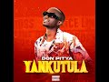 Don Pitya Yankutula Official Visualizer