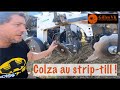 Semis de colza au striptill