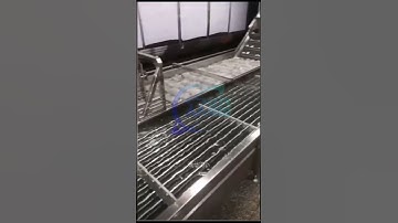 shrimp processing, shrimp cooling machine, shrimp glazing machine #fishmachine #shrimp