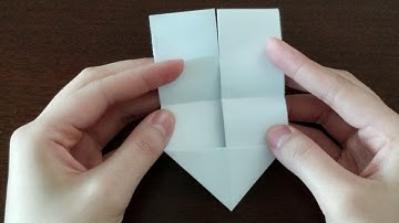 GIT 315 Instructional Video