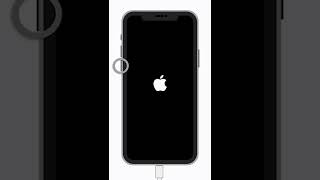 How to Fix iPhone Stuck on Apple Logo? (Frozen on the Apple logo)