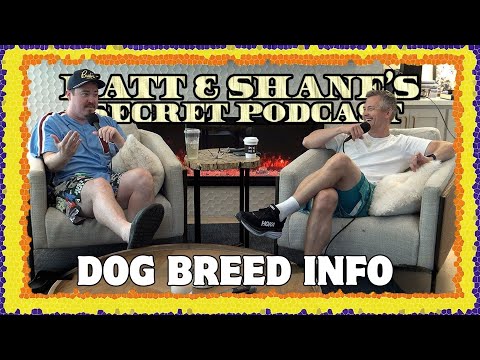 Dog Breed Info | Matt and Shanes Secret Podcast Best Collection