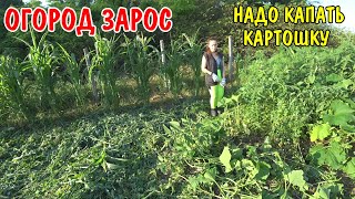 Покормили курей / картошка выросла надо капать / скосил картошку / уборка огорода / купили продукты