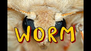 Parahuman Memes 18