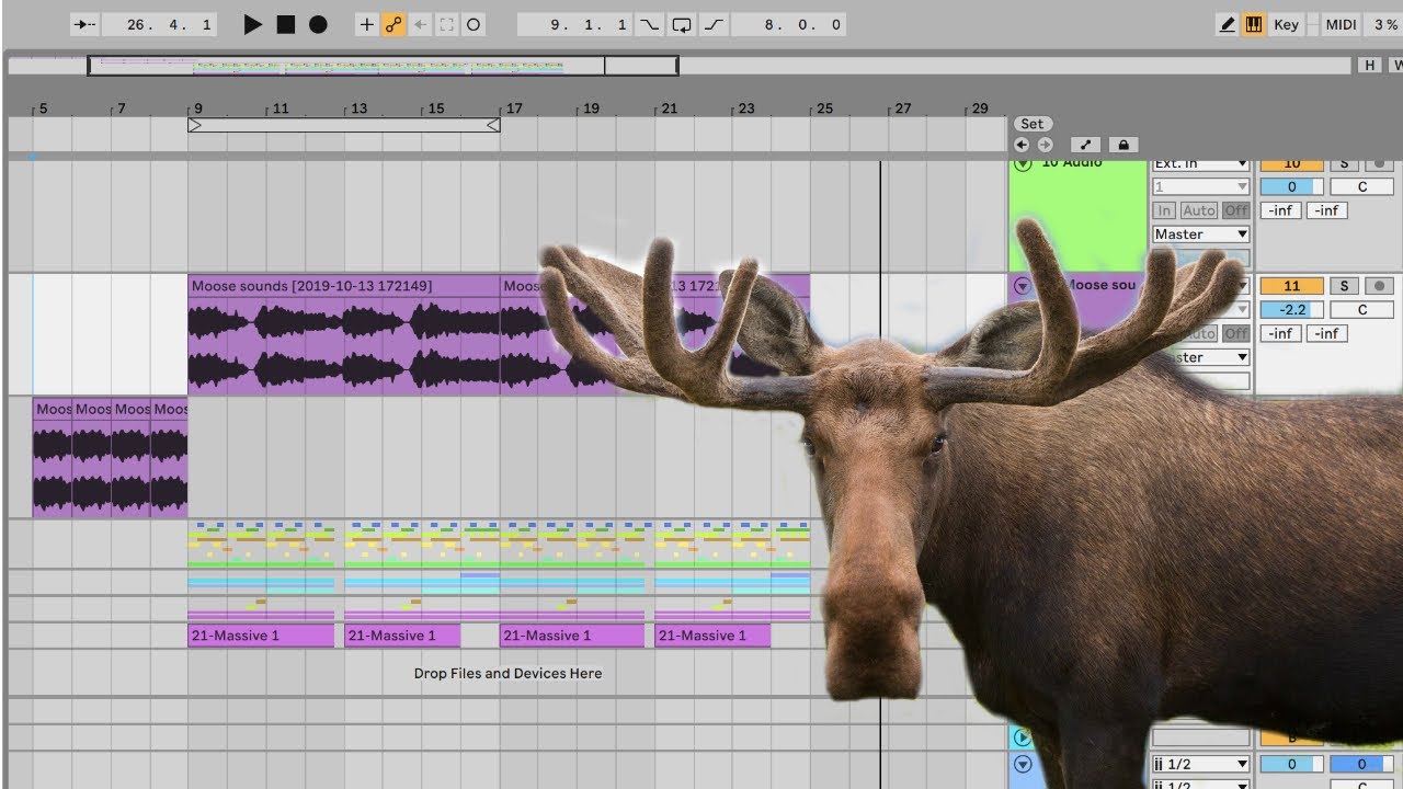moose calls or moose sounds moose calls or moose sounds