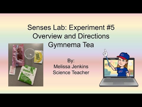 Senses Take Home Lab Kit: Experiment #5 Gymnema Tea (overview and directions) (anatomy)