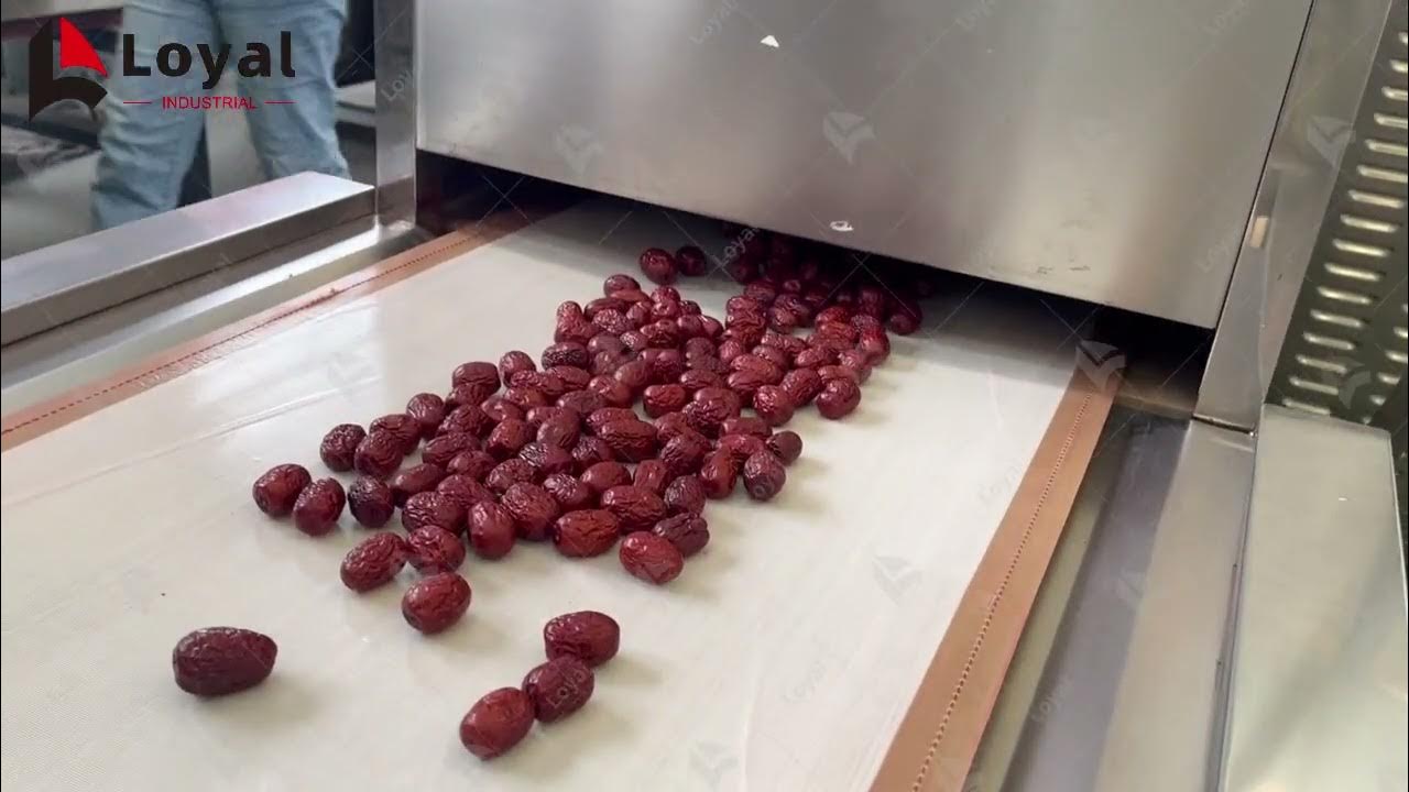 How to dry red dates with microwave?/High quality microwave equipment