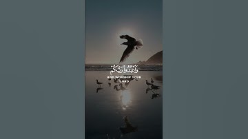سورة الحج - الآية 77 | همسات الإيمان  #whispersoffaithchannel #همسات_الإيمان #quran #قرآن