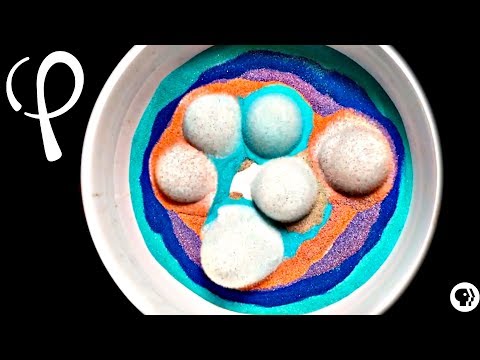 Video: Sand-sementteëls: prys, resensies