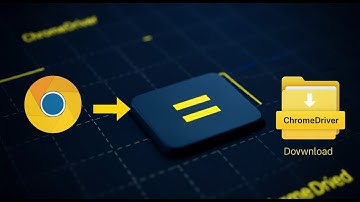 How to Install ChromeDriver for Selenium in 2025 | Step-by-Step Guide (Windows/Linux/Mac)