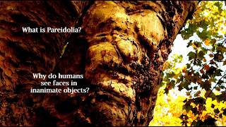 Decoding the Psychology of Pareidolia and Why Humans See Faces in Inanimate Objects?