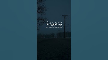 القرآن الكريم | تلاوة من سورة المائدة | القارئ عبدالرحمن مسعد🤍🍃