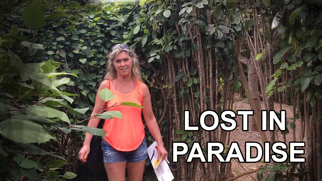 DOLE PINEAPPLE GARDEN MAZE OAHU HAWAII. LOST IN PARADISE. YouTube
