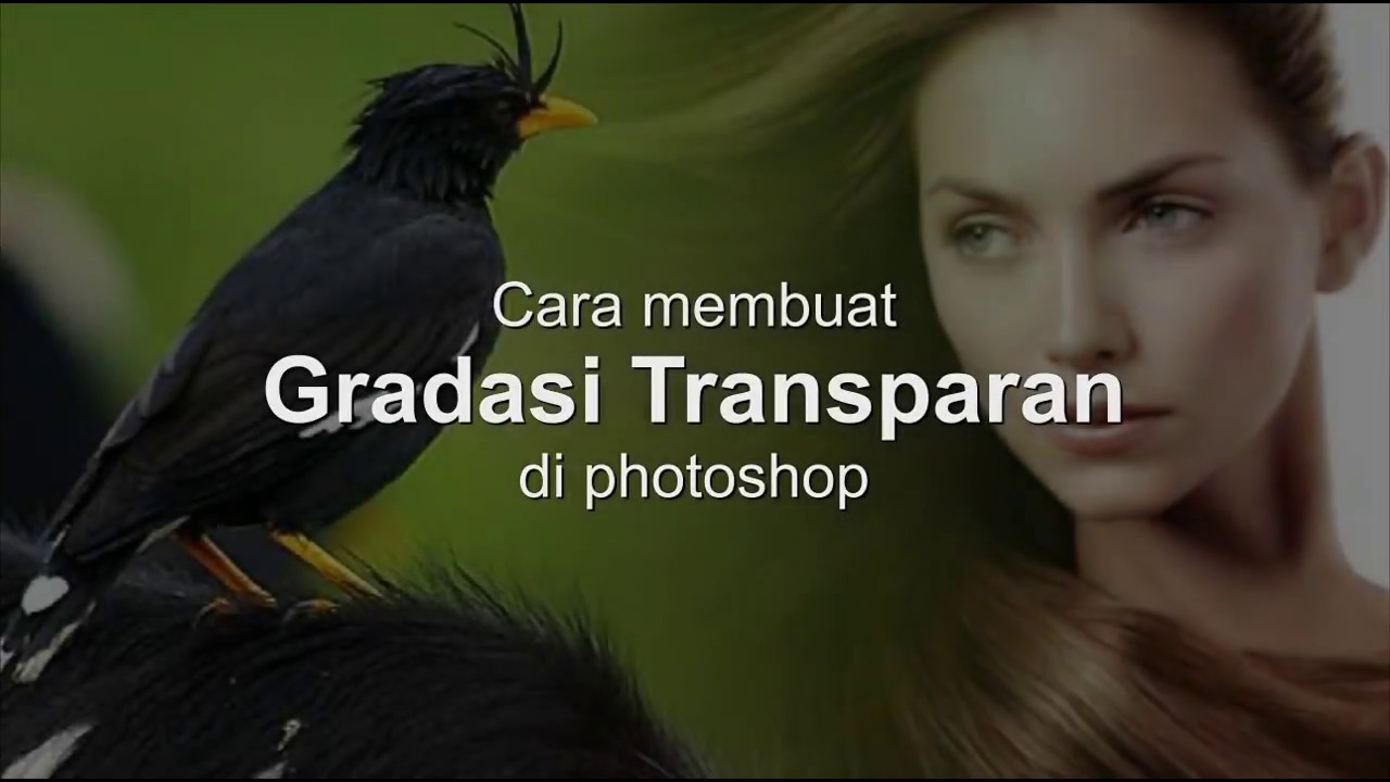  Cara  membuat gradasi transparan  di photoshop YouTube