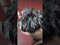 jeebseba#prani#bird